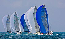 Six yachts under spinnaker during the Acura Miami Grand Prix, Florida, USA. March 2008