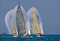 Three yachts racing during the Acura Miami Grand Prix, Florida, USA. March 2008