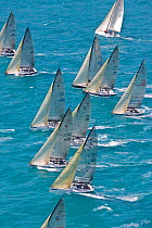 The fleet racing during the Acura Miami Grand Prix, Florida, USA. March 2008