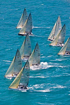 The fleet racing during the Acura Miami Grand Prix, Florida, USA. March 2008