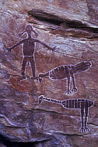 Aboriginal rock art, Emu, Brush turkey and Spirit Figures,  Australia