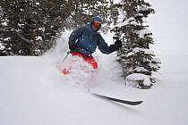 Skier Phil Atkinson skiing through deep powder snow above Denny Lake, Beartooth Mountains, Montana, USA May 2008