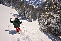 Skier Phil Atkinson skies through deep powder near Twin Outlets Lake after snow storm, Beartooth Mountains, Montana, USA. May 2008