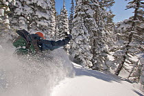 Skier Phil Atkinson skies through deep powder near Twin Outlets Lake after snow storm. Beartooth Mountains, Montana, USA. May 2008