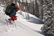 Skier Phil Atkinson makes a ski descent with full pack near Inpasse Falls and Duggan Lake, Beartooth Mountains, Montana, USA. May 2008