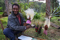 Man at Payakona Village with Bird of Paradise plumes to be used on traditional headdresses. Mount Hagen vicinity in the Western Highlands Province, Papua New Guinea. September 2004