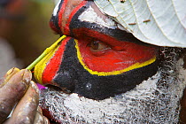 Man applying face paints at Payakona Village singsing ceremony. Mount Hagen vicinity in the Western Highlands Province, Papua New Guinea. September 2004