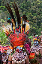 Villagers in traditional feathered headdress at Payakona Village singsing ceremony. Mount Hagen vicinity in the Western Highlands Province, Papua New Guinea. September 2004