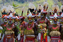 Villagers in traditional costume at Payakona Village singsing ceremony. Mount Hagen vicinity in the Western Highlands Province, Papua New Guinea. September 2004