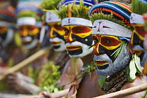 Villagers in traditional costume at Goroka Cultural Show in the Eastern Highlands Province, Papua New Guinea. September 2004