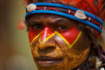 Villager in traditional costume and painted face at Goroka Cultural Show in the Eastern Highlands Province, Papua New Guinea. September 2004