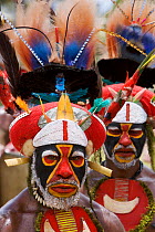 Villagers in traditional feathered headdress with painted faces at Goroka Cultural Show in the Eastern Highlands Province, Papua New Guinea. September 2004