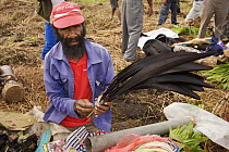 Chimbu province man removes bird of paradise feathers from storage for use in traditional headdresses. Mount Hagen, Western Highlands Province, Papua New Guinea. September 2004
