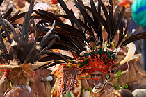 Man from Chimbu Province with Stephanie's Astrapia Bird of Paradise plumes and other feathers in his headdress, Mount Hagen, Western Highlands Province, Papua New Guinea. September 2004