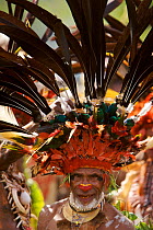 Man from Chimbu Province with Stephanie's Astrapia Bird of Paradise plumes and other feathers in his headdress. Papua New Guinea. September 2004