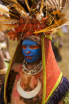 Woman with painted face and Magnificent Bird of Paradise plumes in headdress. Mount Hagen, Western Highlands Province, Papua New Guinea. September 2004