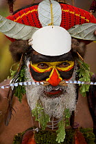 Man in traditional costume with painted face, Mount Hagen, Western Highlands Province, Papua New Guinea. September 2004