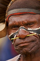 Man with traditional nose piercing, Goroka, Eastern Highlands Province, Papua New Guinea. September 2004