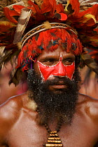 Man in traditional feathered headdress with painted face, from Chimbu Province, Goroka, Eastern Highlands Province, Papua New Guinea. September 2004