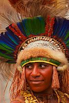 Woman in traditional feathered headdress from Eastern Highlands Province, Bena District. Goroka, Eastern Highlands Province, Papua New Guinea. September 2004