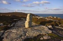 Neolothic / early Bronze Age idol on Chapel Down, with Daymark in the distance. St. Martin's, Isles of Scilly. December 2008.