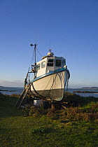 Local fishing boat "Lowena" pulled up behind Old Quay beach, St. Martin's, Isles of Scilly. December 2008.