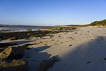 Old Quay Beach, Higher Town, St. Martin's, Isles of Scilly. December 2008.