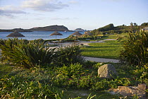 St. Martin's on the Isle Hotel garden, Isles of Scilly. December 2008.
