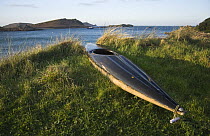 Kayak pulled up on bank at Lower Town Beach, St. Martin's, Isles of Scilly. December 2008.