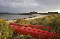 Kayaks pulled up in the dunes on Old Grimsby Beach, Tresco, Isles of Scilly. December 2008.