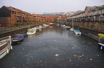 Rubbish in Poole's Wharf, in Bristol's floating harbour, frozen over in January 2009.