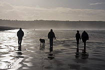 Family walking a domestic dog (Canis familiaris) on Westward Ho! beach, North Devon. January 2009.