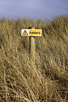 "Adders" (Vipera berus) warning sign in marram grass on Bantham Bay, South Devon, UK. January 2009.