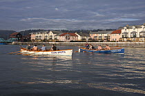 Men's crews practicing in pilot gigs "Isambard" and "Young Bristol" on Bristol Floating Harbour in the morning. February 2009.