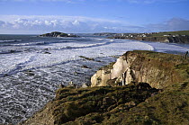 Landslip beside coastal path near Bantham Bay, with Burgh Island in the distance. South Devon, UK. January 2009.