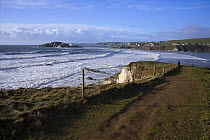 Coastal Path near Bantham Bay, with Burgh Island in the distance. South Devon, UK. January 2009.
