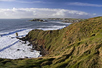 View from coastal Path near Bantham Bay, with narrow rock stack, and Burgh Island in the distance. South Devon, UK. January 2009.
