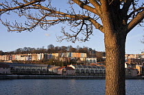 Clifton wood from Baltic Wharf. Bristol Floating Habour, February 2009.