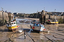 Old Harbour, Cornwall County Pilot Gig Championships, Newquay, September 2008.