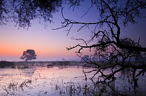 Landscape and sunrise, Keoladeo Ghana / Bharatpur NP, Rajasthan, India