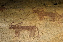 Prehistoric rock painting of horned animals in the riverbed of Dungarinala, near Golpur, Rajasthan, India