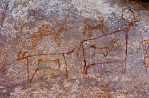 Prehistoric rock painting of animals, Raokachatkaya, Rajasthan, India