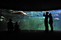 Tourists watching tropical fish at the Nausicaä sea aquarium, Boulogne-sur-Mer, Pas-de-Calais, France