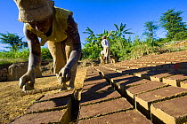 Woman making bricks with mud for traditional building construction, Sambava, North Madagascar.