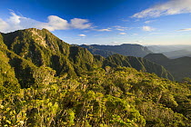 Landscape from path to the summit in Marojejy National Park, North east Madagascar.