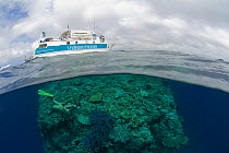 Split level of research / diving boat 'Undersea Explorer' with free diver exploring the coral reef, Pixie Pinnacle, Great Barrier Reef, Queensland, Australia, 2007