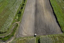 Aerial view of sugar cane fields being harvested, Philippines