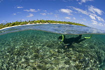 Split level of Stella Freund snorkeling over coral reef, Tonga, Melanesia, Pacific, 2007