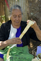 Woman preparing strips of bark of Breadfruit / Paper mulberry tree {Artocarpus altilis} to make into sheets of bark cloth, Tonga, Melanesia, 2007