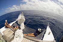 Tourists aboard Glenn Edney's whale watching vessel "Cat Knapp" in the pacific ocean, off Tonga, Melanesia, 2007